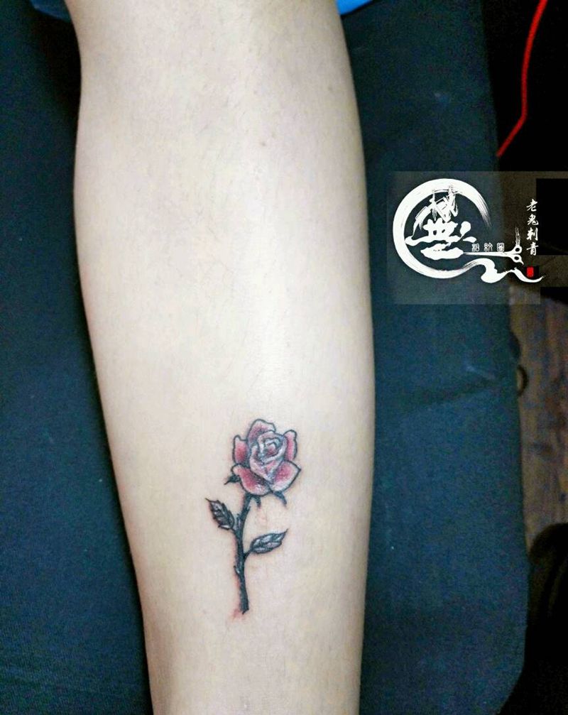 遮盖疤痕纹身图片_腿部清新纹身图案