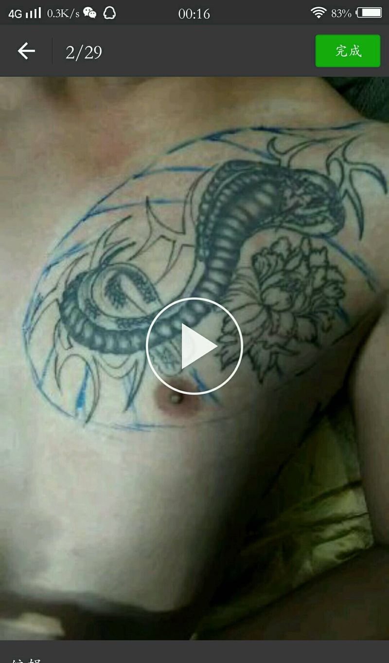 修改半甲纹身纹身图片