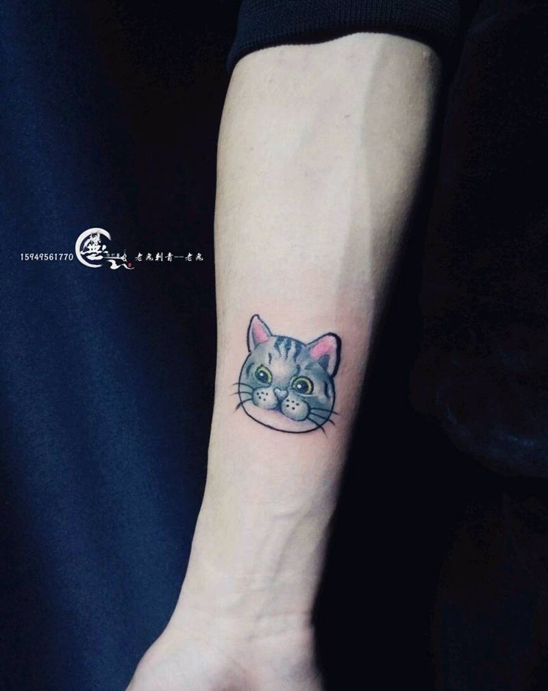 猫纹身图片_清新动物成品纹身图案
