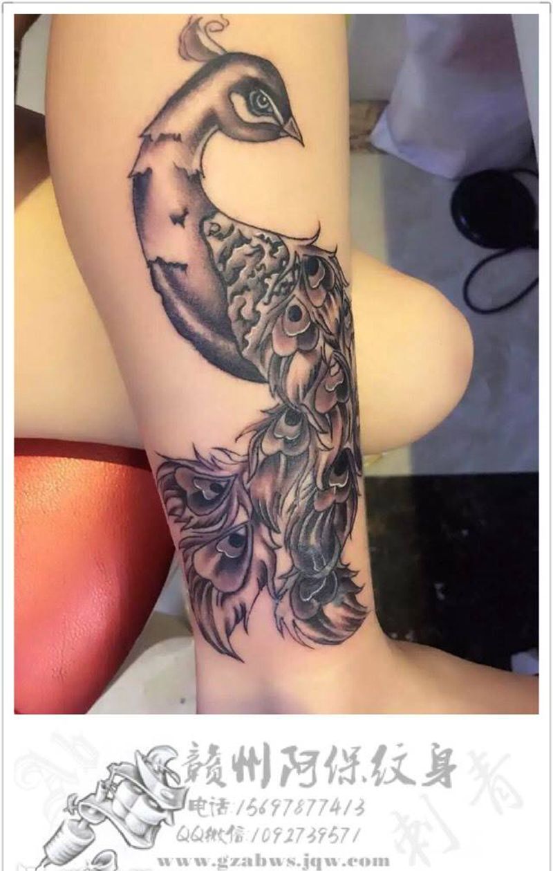 孔雀纹身图片