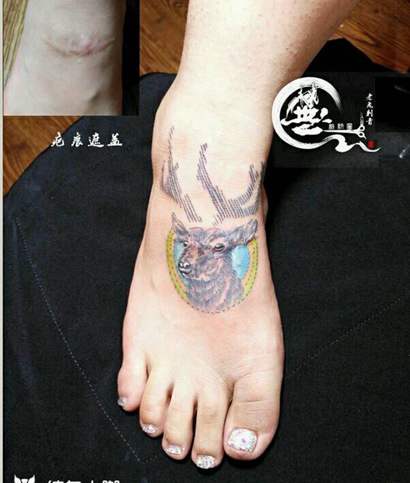 疤痕遮盖纹身图片_腿部清新动物纹身图案