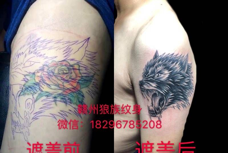 狼头盖玫瑰花纹身图片