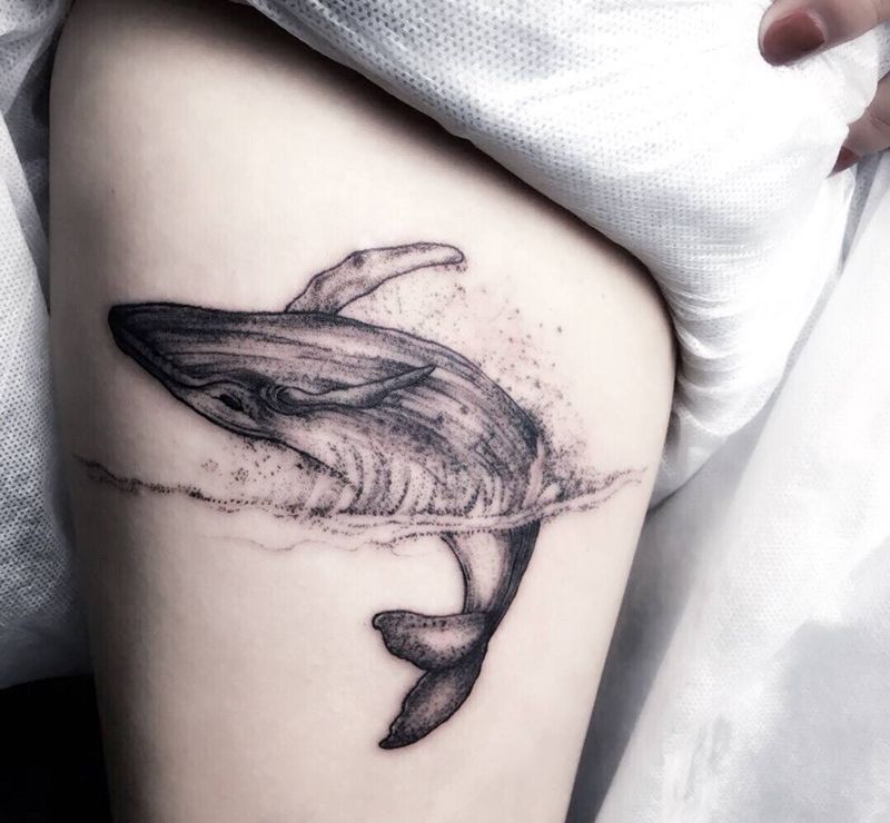 鲸鱼纹身图片_成品腿部清新动物纹身图案
