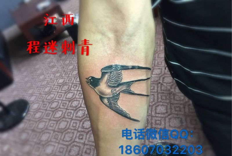 小燕子纹身图片