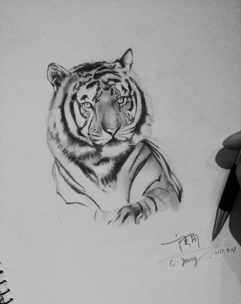 虎头纹身图片_手臂腿部脚部欧美写实动物原创成品手稿插画纹身图案