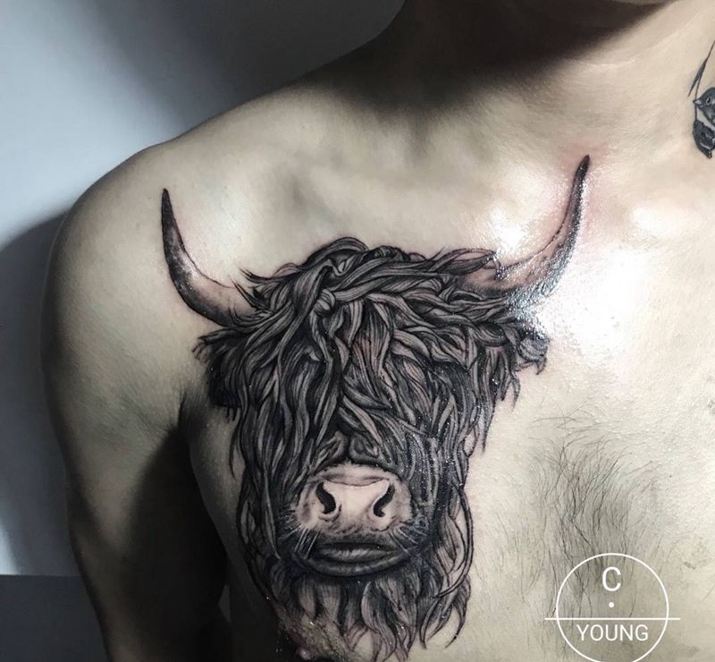 耗牛纹身图片_成品手臂欧美清新动物写实腿部背部胸部纹身图案