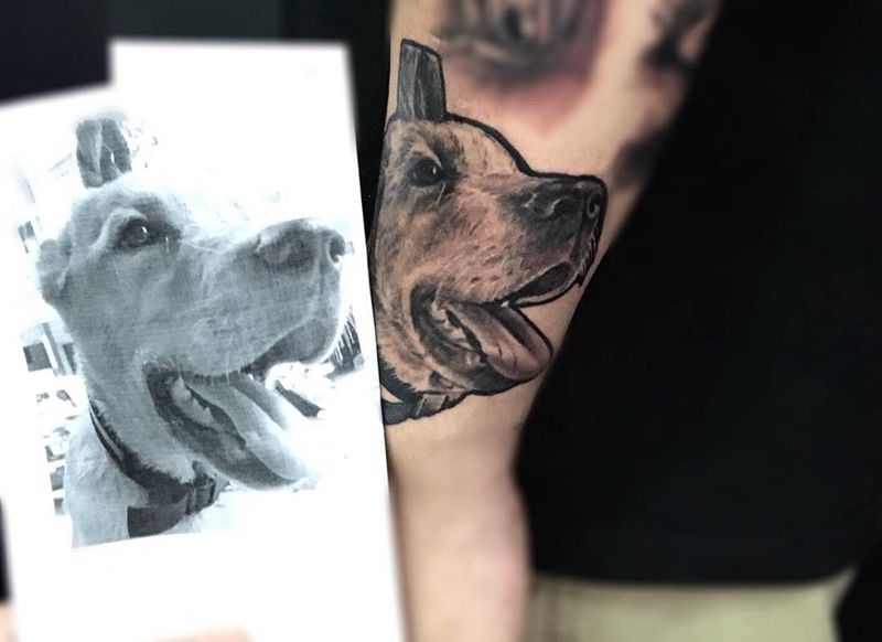 宠物纹身图片_成品手部手臂动物呀呀刺青纹身图案