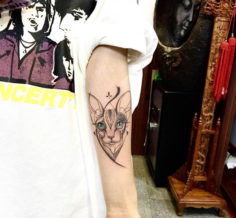 无毛猫纹身图片_成品手部手臂欧美写实清新动物呀呀刺青纹身图案