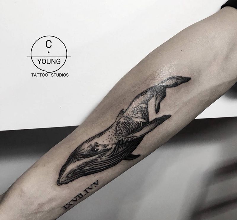 鲸鱼纹身图片_欧美写实手臂手部腿部胸部成品动物几何清新纹身图案