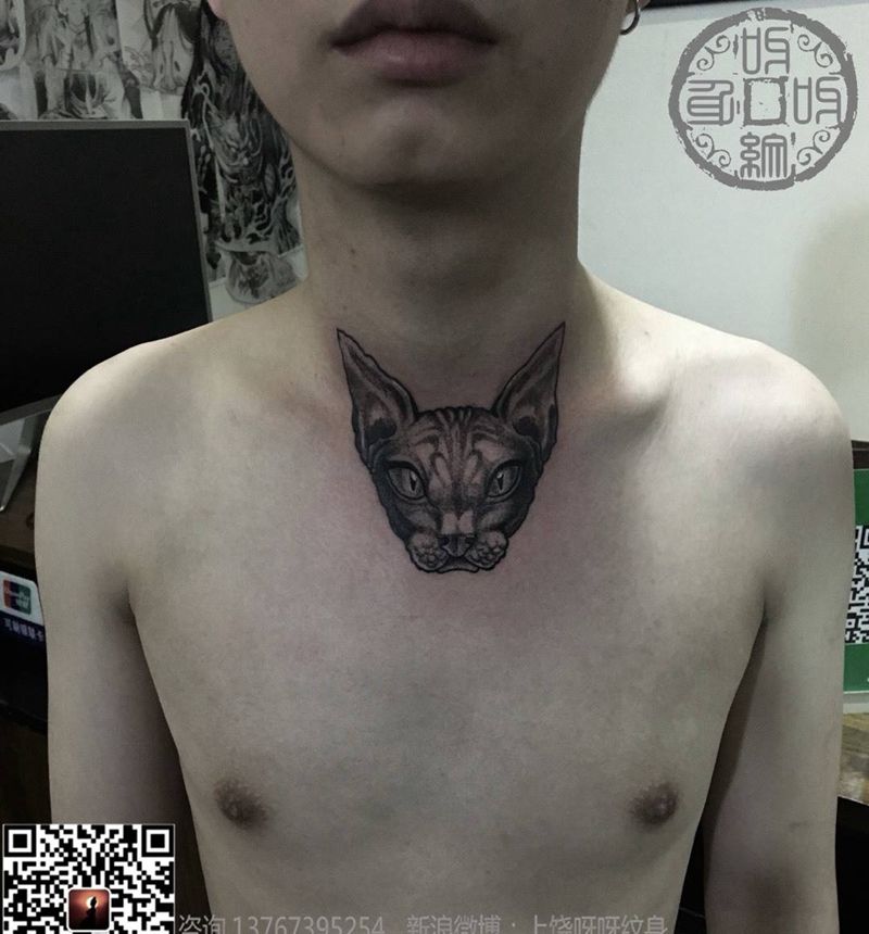 无毛猫纹身图片_成品胸部颈部写实欧美肖像清新动物呀呀刺青纹身图案