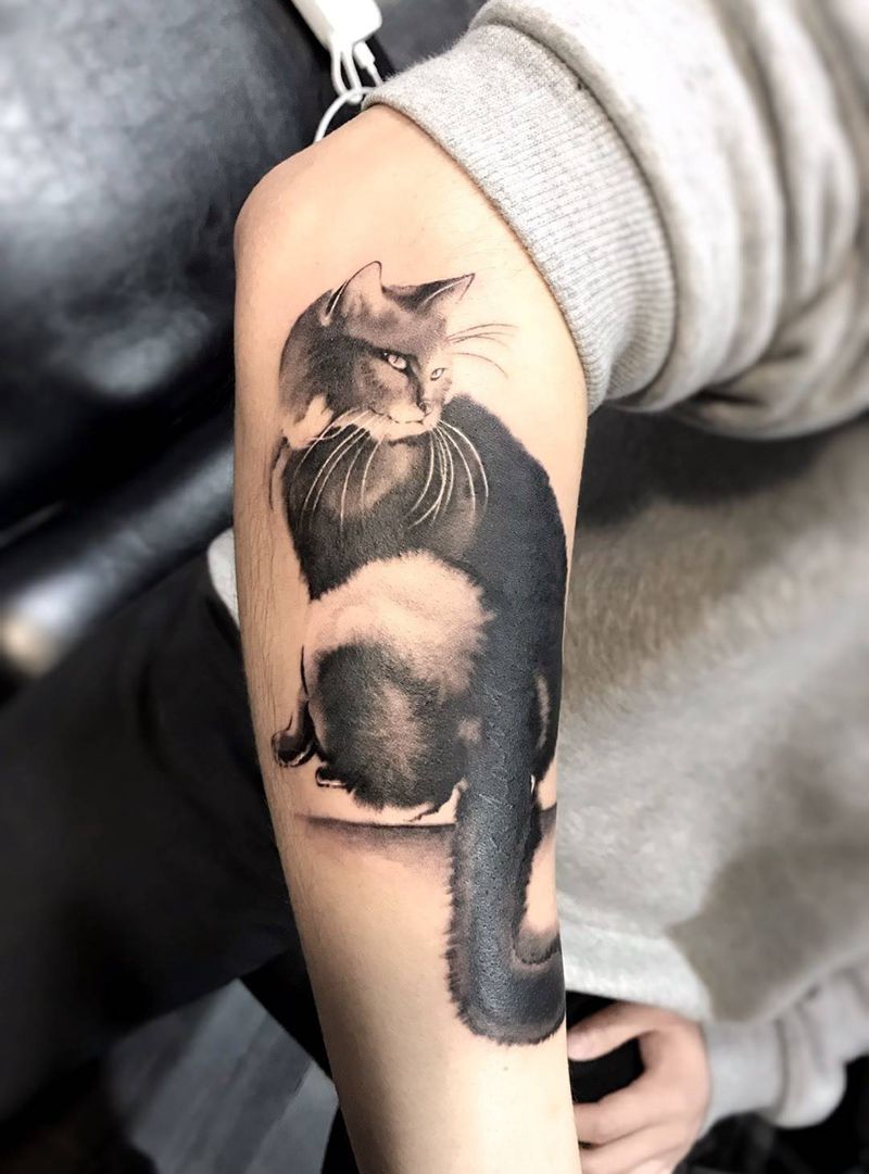 猫纹身图片_手臂水墨纹身图案