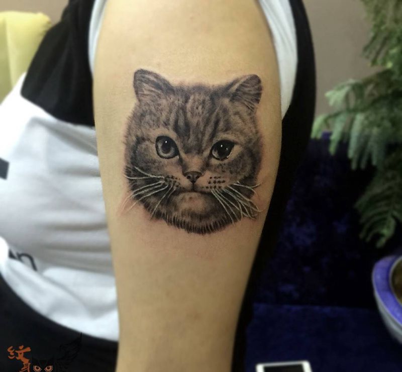 喵星人纹身图片_成品手臂写实动物纹身图案