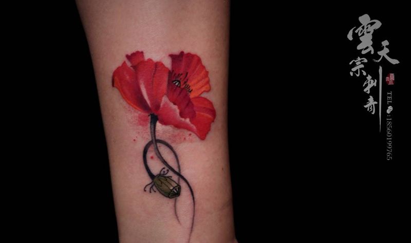 罂粟花纹身图片_成品腿部国画清新静物植物纹身图案