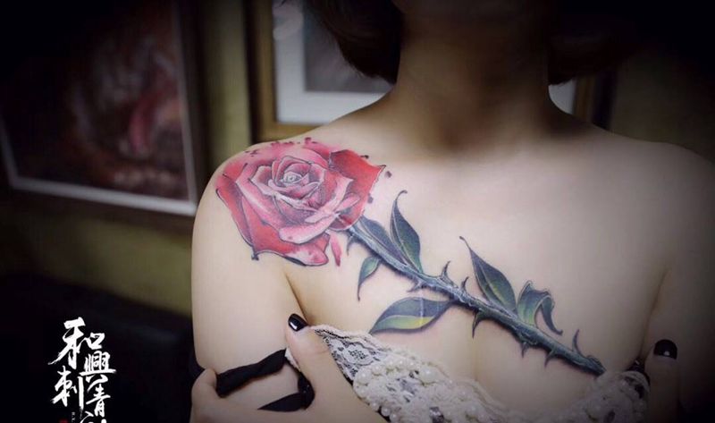《疤痕遮盖》纹身图片_胸部水彩欧美写实遮盖 玫瑰 疤痕花纹身图案