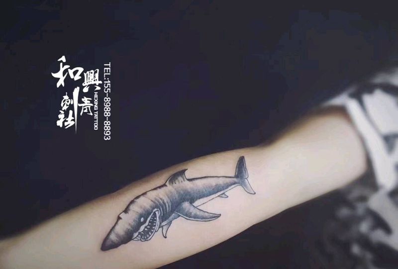 鲨鱼1.5纹身图片_手臂欧美清新动物成品纹身图案