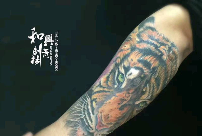 老虎纹身图片_手臂习俗动物原创成品纹身图案