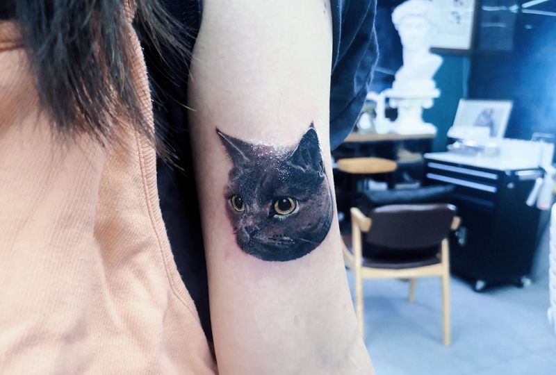 宠物纹身纹身图片_手臂腿部欧美写实猫宠物动物纹身图案
