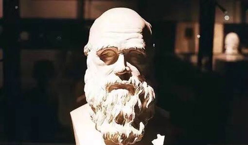 乐道纹身图片_乐道刺青山东培训青岛纹身图案