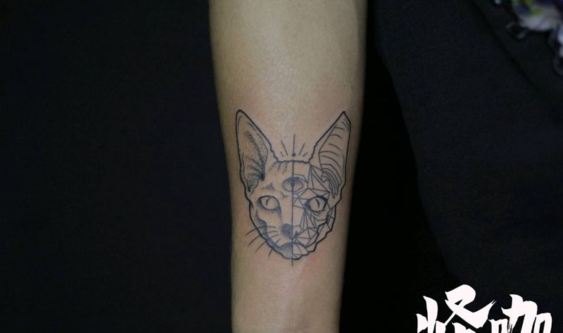 斯芬克斯纹身图片