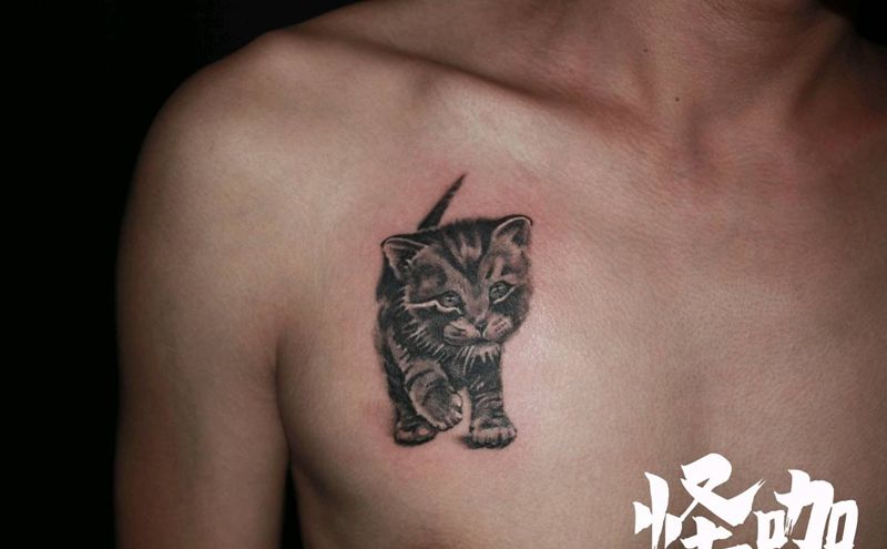 猫咪纹身图片
