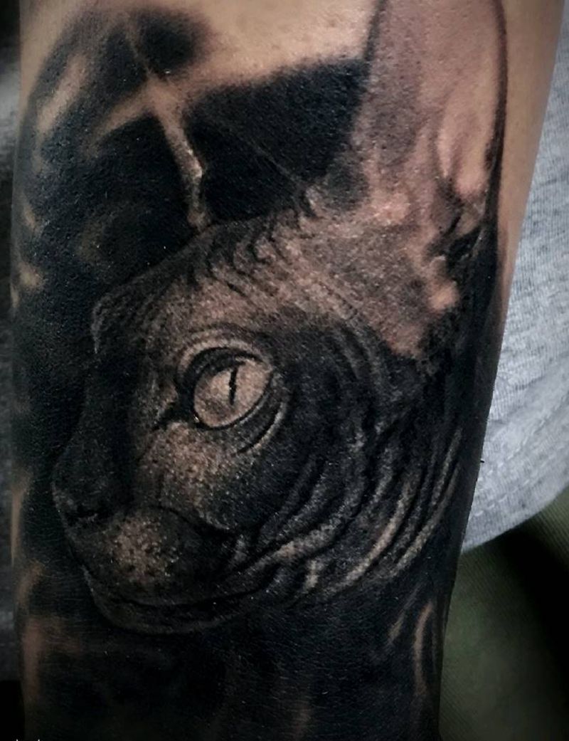 斯芬克斯猫纹身图片_暗黑纹身图案