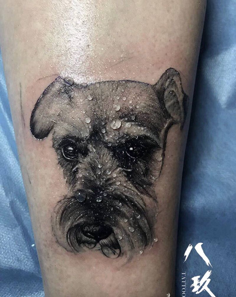 雪纳瑞纹身图片