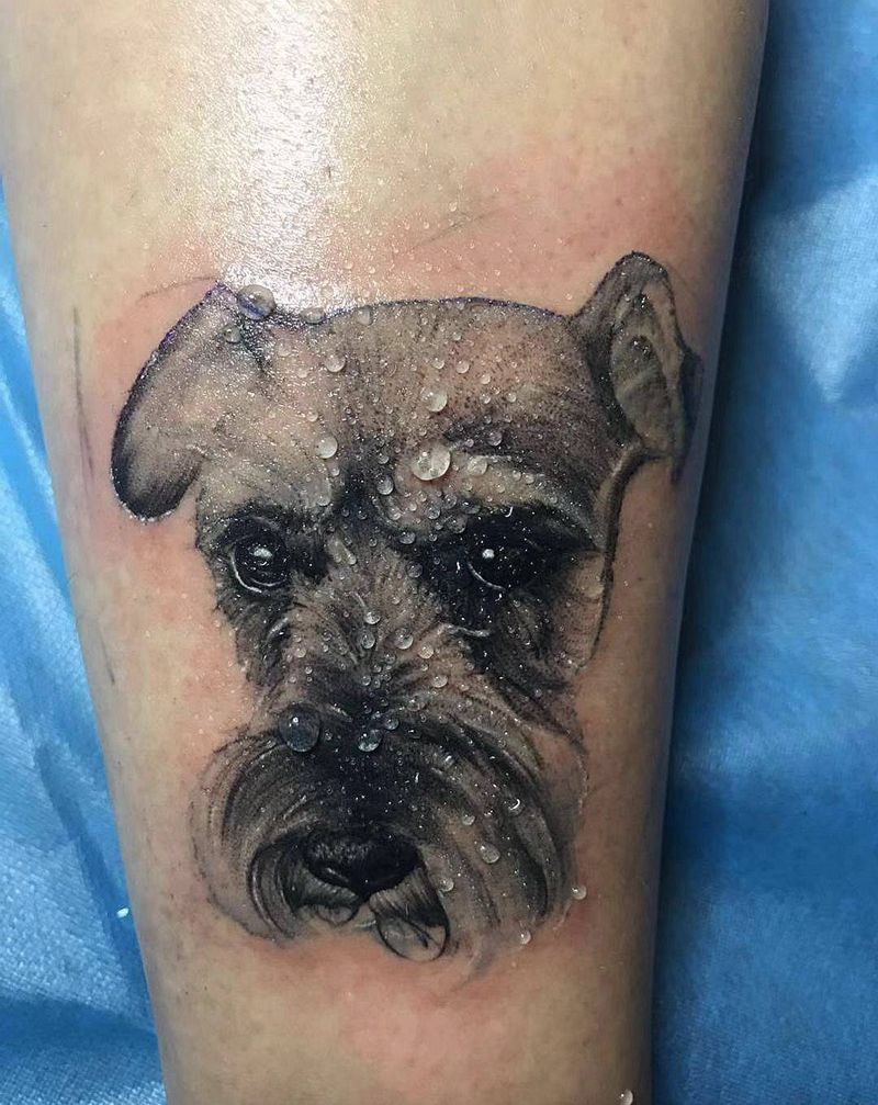 雪纳瑞纹身图片