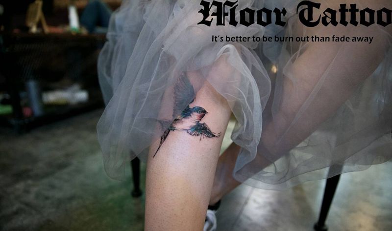 燕纹身图片_腿部清新动物成品纹身图案