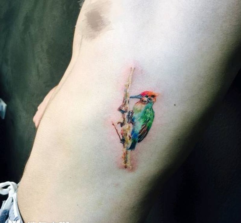 啄木鸟纹身图片_腰部写实动物成品纹身图案