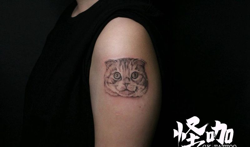 猫咪纹身图片