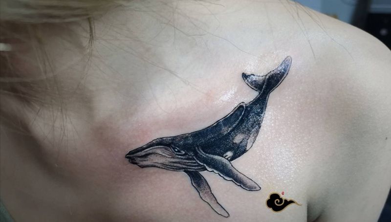 遮盖鲸鱼纹身图片_肩部点刺鲸鱼遮盖纹身图案