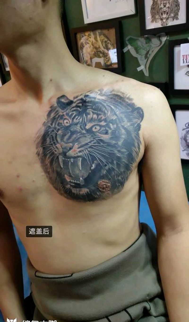 老虎遮盖纹身图片_胸部欧美写实纹身图案