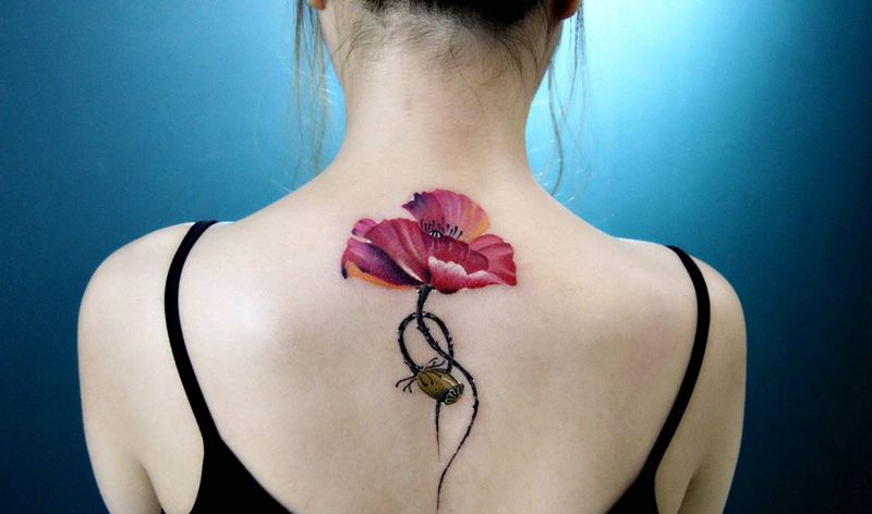 水彩罂粟花纹身纹身图片_背部欧美清新国画植物青岛FV成品纹身图案