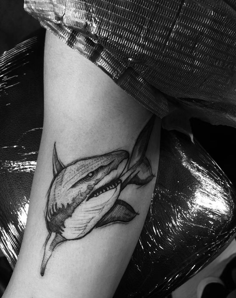 鲨鱼纹身图片