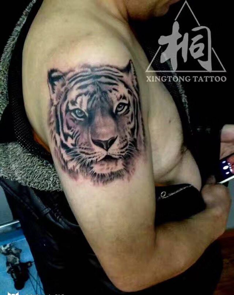 虎头纹身图片_动物写实手臂成品纹身图案