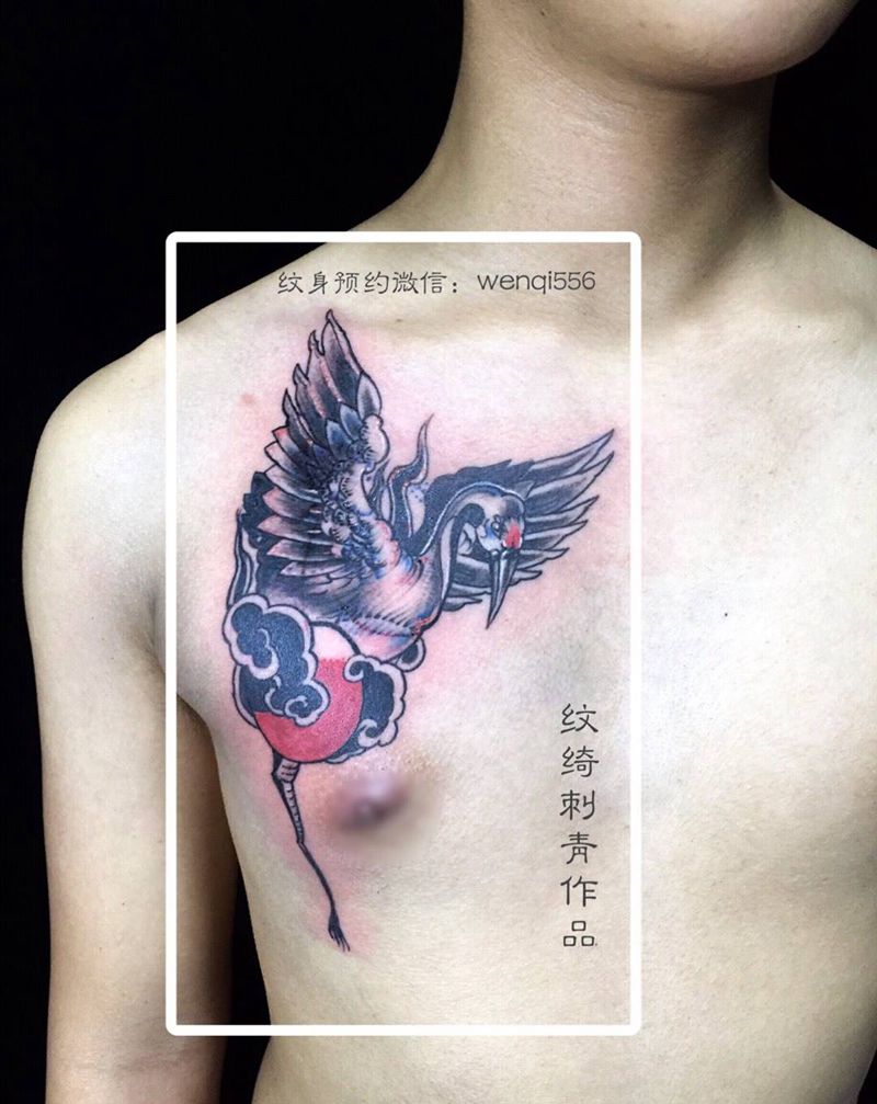 遮盖，鹤纹身图片