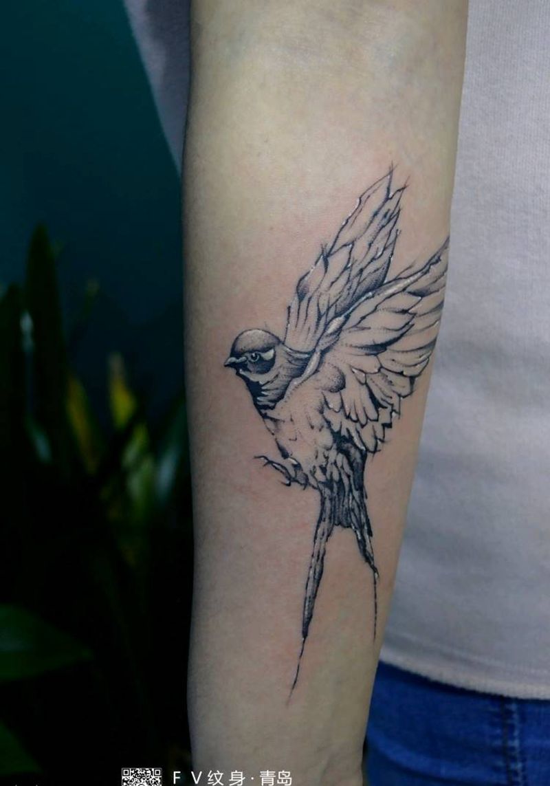 燕子纹身图片_手臂清新动物青岛FV纹身图案