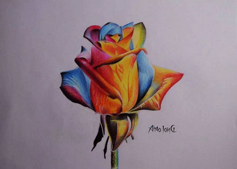 设计手稿纹身图片