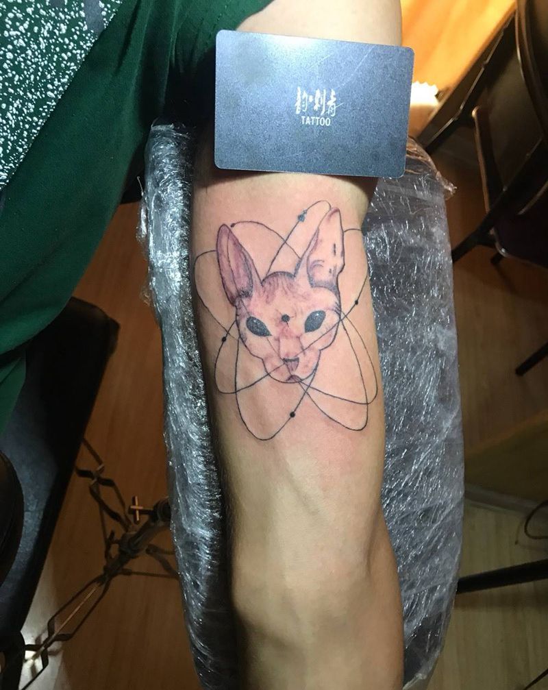 无毛猫纹身图片