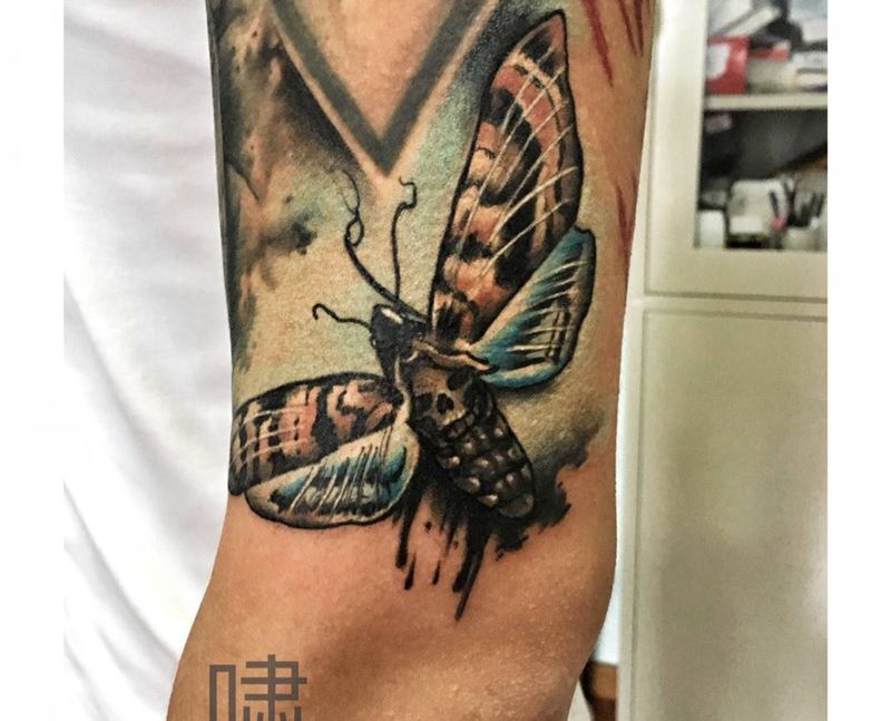蛾纹身图片