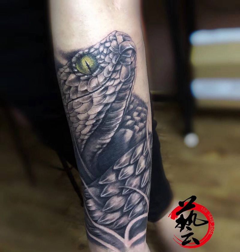 进度纹身图片_成品手稿插画动物写实脚部手臂纹身图案