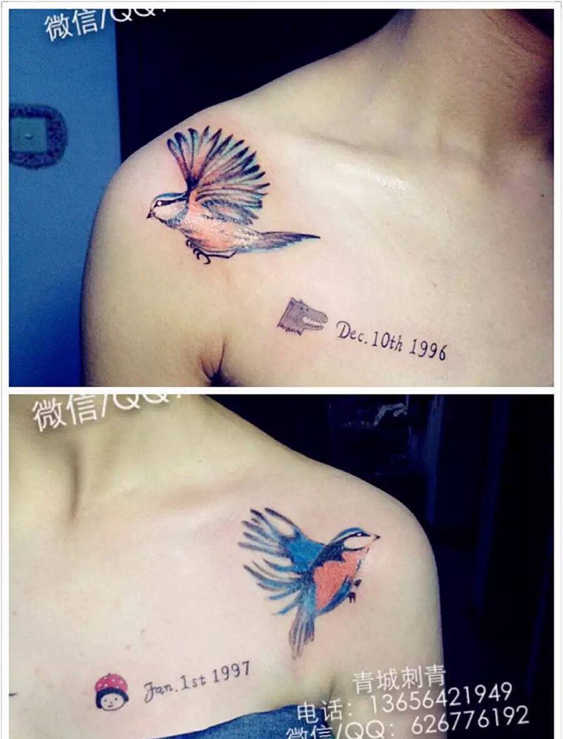 情侣纹身 蜂鸟纹身纹身图片_成品肩部传统动物纹身图案