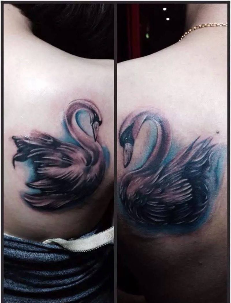 天鹅纹身图片