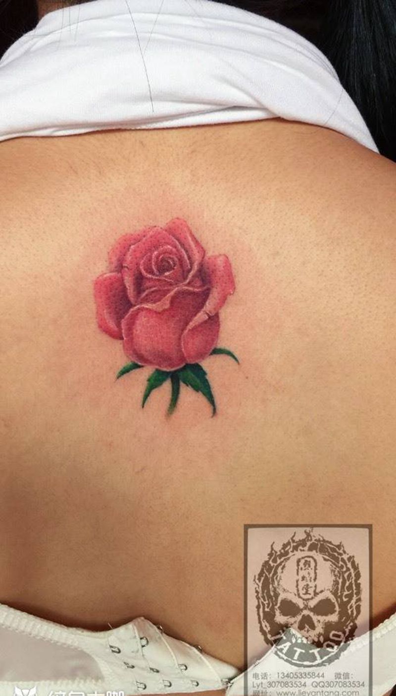 玫瑰纹身图片_成品植物欧美背部纹身图案