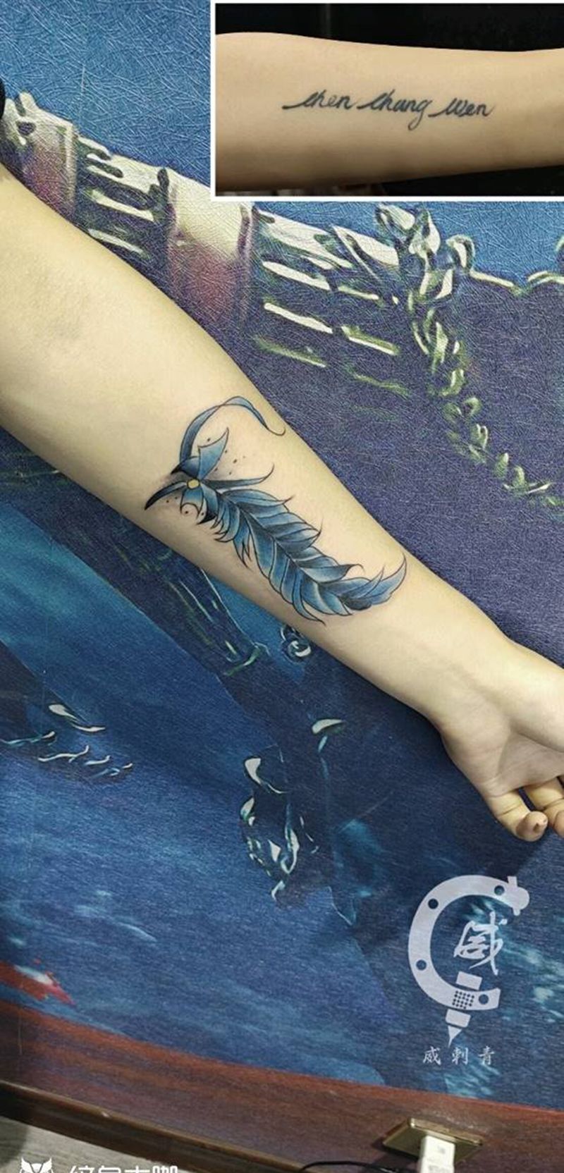 羽毛遮盖纹身图片_手臂新传统羽毛纹身图案