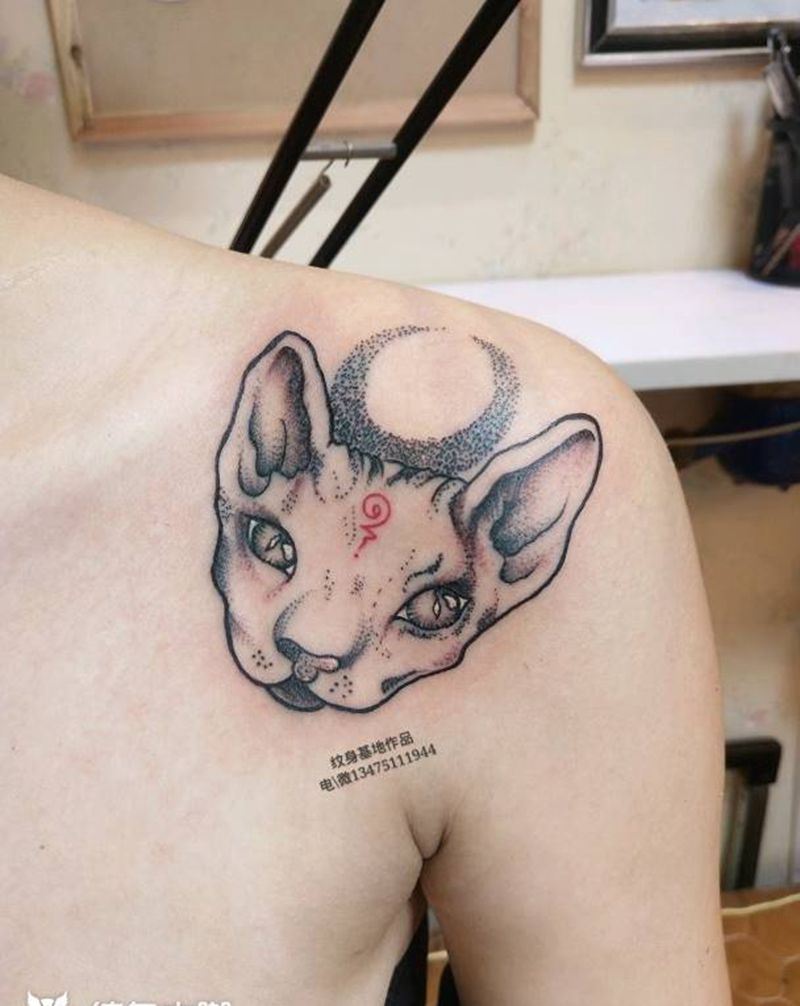 斯芬克斯猫纹身图片