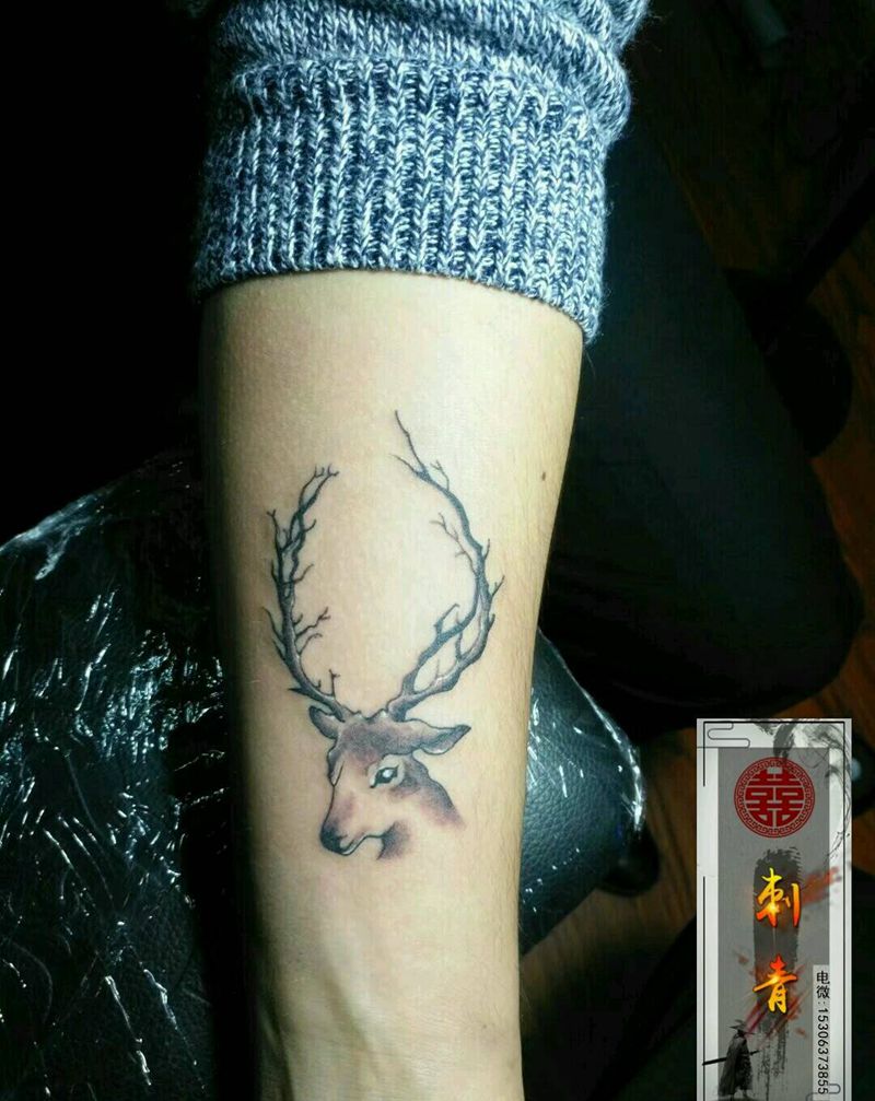 鹿头纹身图片_欧美写实New School鹿头鹿角鹿纹身图案