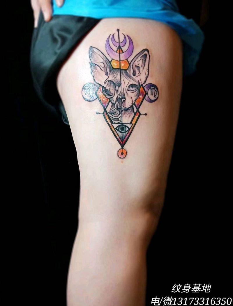 斯芬克斯猫，雨涵作品纹身图片