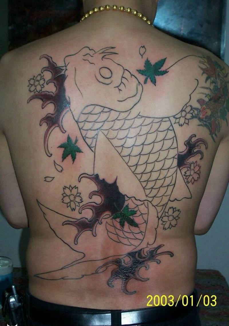 满背鲤鱼割线纹身图片