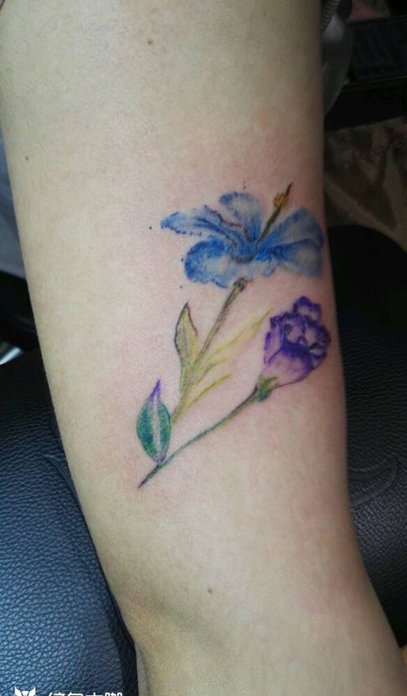 水仙＋洋橘梗纹身图片_手臂写实植物成品纹身图案